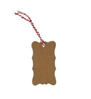 Kraft Tags for Gift Wrapping and Labeling (Fancy Shaped Natural Kraft 25 PCS)