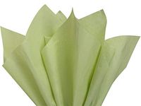 Sage Green Art DIY Crafts Tissue Paper for Gift Wrapping 20"X26" 5 Sheets