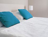 Waterproof Reusable Incontinence Bed Pads Washable Incontinence Underpads 8 Cups Absorbency, Non-Slip Mattress Protector for Adults, Kids and Pets (34”x 52” inch)