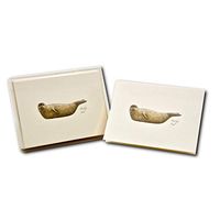 Earth Sky + Water - Harbor Seal Notecard Set - 8 Blank Cards with Envelopes