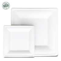 Bhona Supplies - Biodegradable Square Paper Plates - Set of 100 White Plates (50) 10" and (50) 6" Sturdy and Elegant - Made of Sugarcane Bagasse Fiber - Compostable