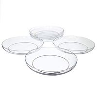 11" Clear Acrylic Low Pie Plate, Floral Flower Dish, Wedding, Party, Home and Holiday Decor, 6 Pack