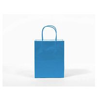 12CT Large Turquoise Biodegradable Paper, Premium Quality Paper (Sturdy & Thicker), Kraft Bag with Colored Sturdy Handle (Large, Turquoise)