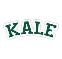 By August999 Kale - Beyonce Car Motorcycle Bicycle Skateboard Laptop Luggage Vinyl Sticker Graffiti Laptop Decals Bumper Stickers