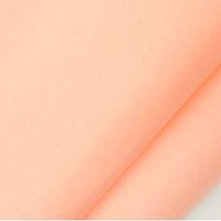 Peach Tissue Paper - 20in. x 30in. (24)