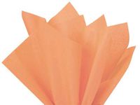 20ct Beautiful Peach! Tissue Paper for Gift Wrapping 20"x30" Solid Sheets nfLG -1836