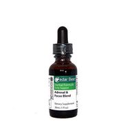 Cedar Bear Adrenal Focus a Liquid Herbal Supplement That Gently Soothes The Nervous System, and Helps Support The Body's Cognitive Function 1 Fl Oz