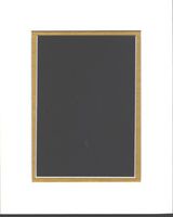 Pack of 5 11x14 White & Gold Double Picture Mats Mattes Matting Cut for 8x10 Pictures