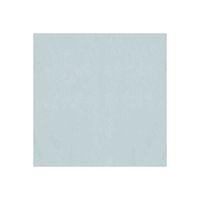 Tissue Silver 5 Count