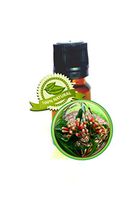 Clove Leaf Essential Oil - Syzygium aromaticum - 5ml (1/6oz)
