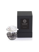 Zodax Illuminaria Porcelain Diffuser, Tahitian Gardenia Fragrance