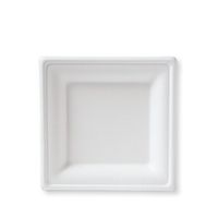 Susty Party 6-Inch Compostable Square Plates, 50-Count, Sugarcane Fiber (Bagasse) Tree-Free Heavy Duty Disposable Biodegradable Plate for Dessert, White