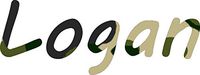 hBARSCI Logan Vinyl Decal - 5 Inches - for Cars, Trucks, Windows, Laptops, Tablets, Outdoor-Grade 2.5mil Thick Vinyl - Camo Print