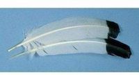 13 Pack CHENILLE KRAFT COMPANY IMITATION EAGLE FEATHERS