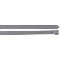 Thomas and Betts TR SS10250 CABLE TIE 302/304 SST 1/ (Pack of 100)