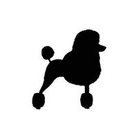 Creative Concepts Ideas Poodle Standing Dog Pet Show CCI Decal Vinyl Sticker|Cars Trucks Vans Walls Laptop|Black|5.5 x 5.0 in|CCI2203
