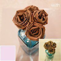 Hoya 43mm FL-Day (FLD) Filter