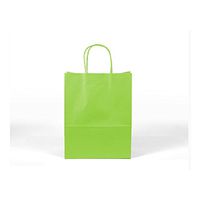 12CT Large Lime Green Biodegradable Paper, Premium Quality Paper (Sturdy & Thicker), Kraft Bag with Colored Sturdy Handle (Large, Lime Green)