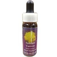 Golden Yarrow Dropper, 0.25 oz by Flower Essence Services (Pack of 3)