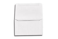 6 3/4 Remittance Envelopes (3 5/8 x 6 1/2 Closed) - 24lb. Bright White (250 Qty.)