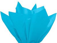 Turquoise Tissue Paper 20x30" 480 Sheet Ream - WRAPS-CT3TU