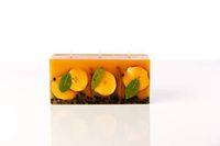 Rosy Rings Brick Botanical Candle - Spicy Apple