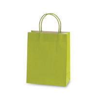 Paper Gift Bags 6ct 10.5"x12.5"x5.5" (Lime)