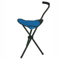 DSHUJC Crutch Chair Retractable Lightweight Walking Stick Stool Metal Skeleton for Elderly Outdoor Travel Rest Stool 323275cm