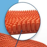 Revs Premium Reflexology & Acupressure Massage Sandals. Wear for Comfort, Health & Pain Relief (25cm / Women US 7-7.5 / Men US 6-6.5, Light Brown) Unisex, Vegan.