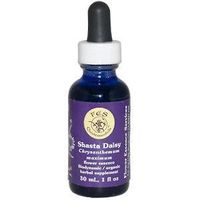 Quintessentials, Shasta Daisy, Flower Essence, 1 fl oz (30 ml) by Flower Essence Services