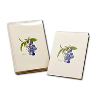 Earth Sky + Water - Blueberry Notecard Set - 8 Blank Cards with Envelopes