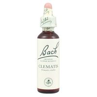 Bach Original Flower Remedies Clematis 20ml by Bach Original Flower Remedies