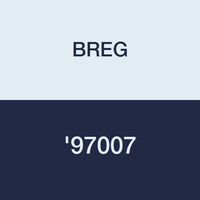 BREG '97007 Stirrup Ankle Foam Liner Lightweight Adjustable Heel Pad Vertical Side Strap Swivel Strap with Shells