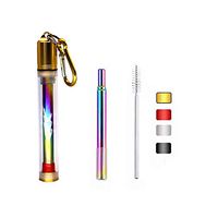 Stainless Steel Straws Drinking Reusable Telescopic Straw with Transparent Case and Cleaning Brush New Design for Travel Outdoor Household (Gold, Stainless Steel rainbow)