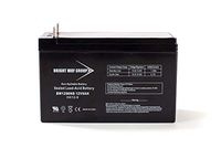 Bright Way Group 12V 9Ah Rechargeable SLA Battery with Nut & Bolt Terminal | BW1290 NB Terminal