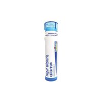 Boiron - Hepar sulphuris calcareum 1M 80 plts