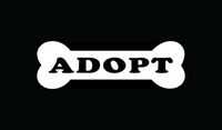 Ranger Products Adopt Sticker Dog Animal Bone Car Window Vinyl Decal Rescue Love Puppy Die Cut Vinyl Decal for Windows, Cars, Trucks, Tool Boxes, laptops, MacBook - virtually Any Hard, Smooth Surface