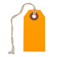 JAM PAPER Gift Tags with String - Tiny - 2 3/4 x 1 3/8 - Neon Orange - 10/Pack
