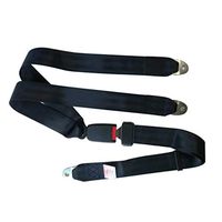 LRWSB Entertainment Equipment Seat Belt Side Insertion Y-Shaped Seat Belt Buses Y-Shaped Seat Belt Two-Point Protective Belt