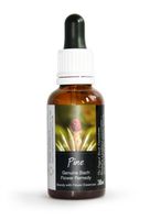 Pine Bach Flower Remedy Large 30ml. Genuine Traditionally Made Essence