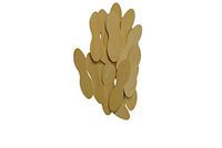 Perfect Stix Wooden Taster Spoons 2.5" Length ( pack of 10000)