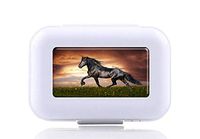 JWDCC Pill Box Case - Decorative Boxes - Brown Horse Pattern- Pocket Medicine Tablet Holder Organizer Case Pill Box for Purse - Compact 8 Compartment