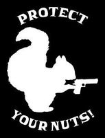 Keen Protect Your Nuts 2nd Amendment Vinyl Decal Sticker|Walls Cars Trucks Vans Laptops|White|5.5 in|KCD736