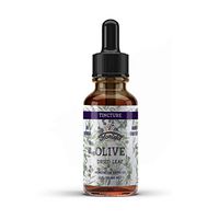 Organic Olive Leaf Tincture, Olive Extract Liquid (Olea europaea) Dried Leaf Herbal Supplement, Non-GMO in Cold-Pressed Organic Vegetable Glycerin, 700 mg, 4 oz (120 ml)
