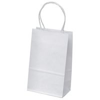 Flexicore Packaging 5.25"x3.25"x8" - 50 Pcs-White Kraft Paper Bags, Shopping, Merchandise, Party, Gift Bags (Plain)