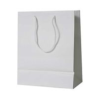 JAM PAPER Gift Bags with Rope Handles - Large - 10 x 13 x 5 - White Matte - 3/Pack