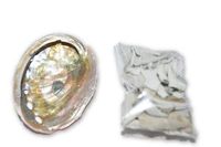 Nature's Enlightenment Mini Smudge Travel Kit - Abalone Shell and White sage -