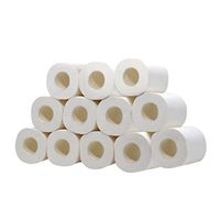 Toilet Paper Rolls, Tissue Paper Towel Rolls for Bathroom, 10 Rolls Family Paper Towels White Toilet Rolls Tissue Paper, Bath Tissue Roll Paper Absorbent Paper Rolls (12 rolls)
