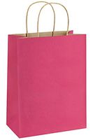 BagDream Hot Pink Gift Bags 8x4.25x10.5 25Pcs Paper Bags, Paper Gift Bags with Handles, Paper Shopping Bags Kraft Bags Party Bags Retail Merchandise Bags