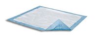 Attends Healthcare Products Pkufs230 Attends Dri-Sorb Underpad 23" X 24",Attends Healthcare Products - Bag 10